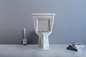 Nhà vệ sinh hai khối tiêu chuẩn Mỹ với hệ thống xả xiphông thô 10 inch