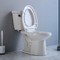 Nhà vệ sinh hai khối tiêu chuẩn Mỹ với hệ thống xả xiphông thô 10 inch