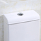 1.0 Gpf Ceramic American Standard One Piece Double Flush Toilet Commode