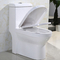 1.0 Gpf Ceramic American Standard One Piece Double Flush Toilet Commode