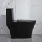 Syphon Van xả kép Phòng tắm Nhà vệ sinh Nhà vệ sinh Csa màu đen mờ với 10,5 nhám màu đen
