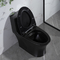 Iapmo Phòng tắm Nhà vệ sinh Màu đen mờ 1 mảnh Bồn cầu xả kép Gốm Siphonic kéo dài