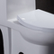 10 inch thô trong nhà vệ sinh có chiều cao thoải mái Ada dành cho người khuyết tật Rv với hệ thống xả điện