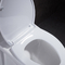 10 inch thô trong nhà vệ sinh có chiều cao thoải mái Ada dành cho người khuyết tật Rv với hệ thống xả điện