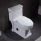 Gốm sứ Ada One Piece Skirted Toilet Nhà vệ sinh Tủ nước Tủ nhỏ gọn kéo dài