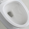 Thô 10 inch trong nhà vệ sinh dài một mảnh S sàn có bẫy gắn Wc Siphonic