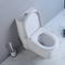 Thô 10 inch trong nhà vệ sinh dài một mảnh S sàn có bẫy gắn Wc Siphonic