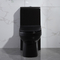 Cấu hình thấp American Standard One Piece Elongated Toilet Tall Black 1.6Gpf